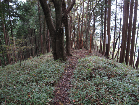 20181009hike (126)